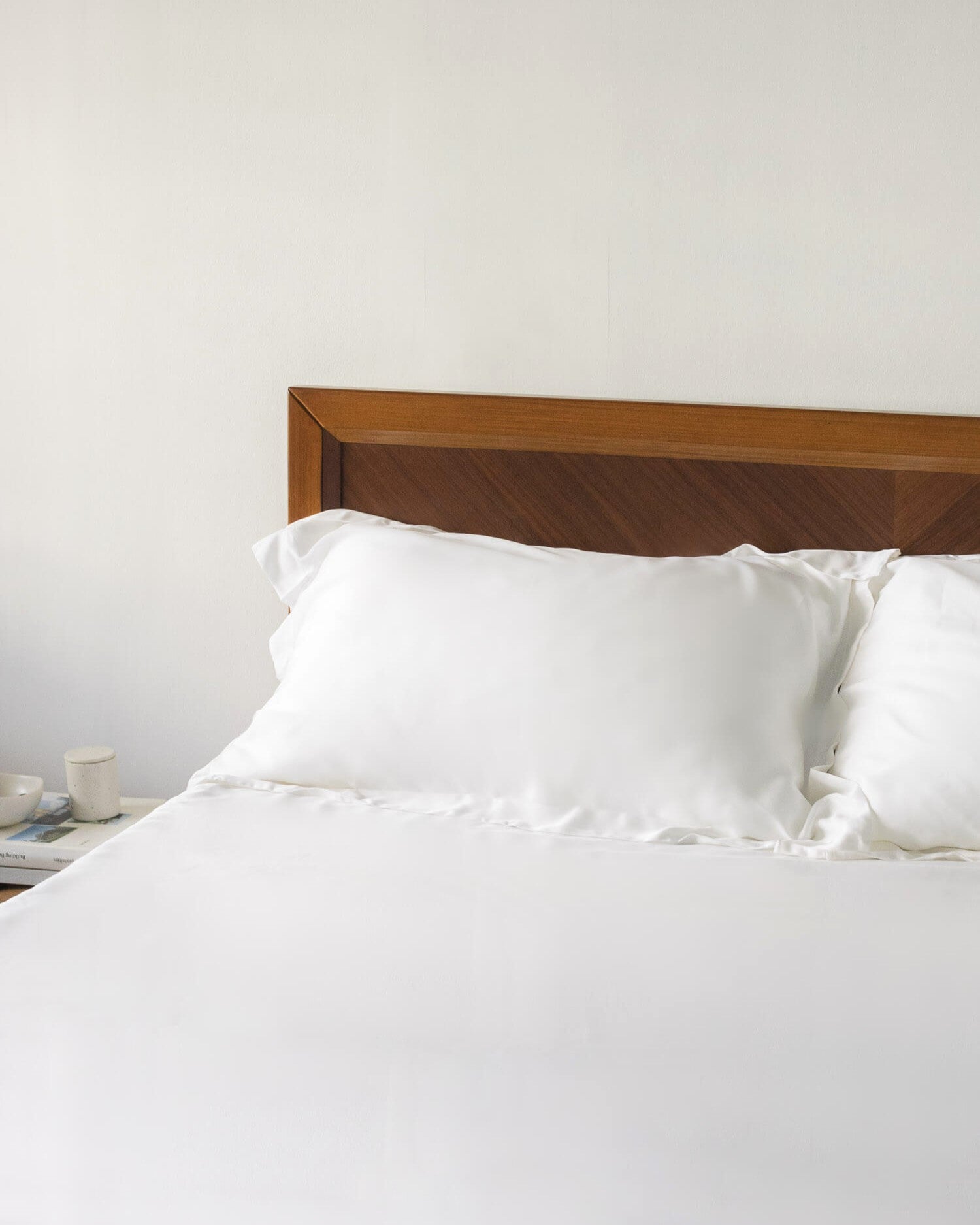 ava and ava ph silky soft organic bamboo lyocell shams / oxford pillowcases in white, classic style pillowcases